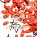 Chinese Dried Wolfberry/Goji Berry